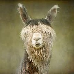 Esbjerg's Techno Mix