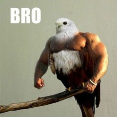 come at me brostep mini mix (and what!?!?!?!?!mix tape...)