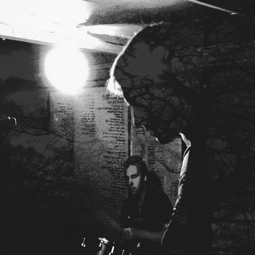 Inside a nest of bees - JacksonsWarehouse