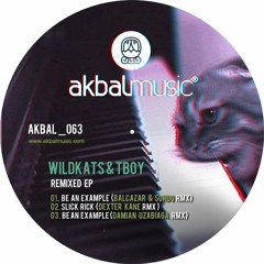 Wildkats & T boy - Be an Example (Damian Uzabiaga Remix)