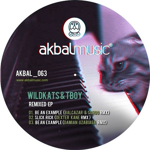 Wildkats & T boy - Be an Example (Damian Uzabiaga Remix)