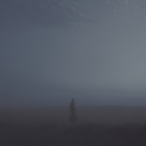 Solitaire – Wilco cover