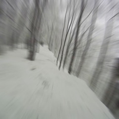 Sled Race Down White Mountain