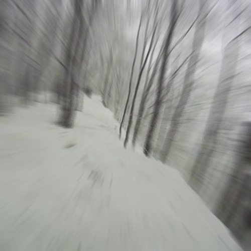 Sled Race Down White Mountain