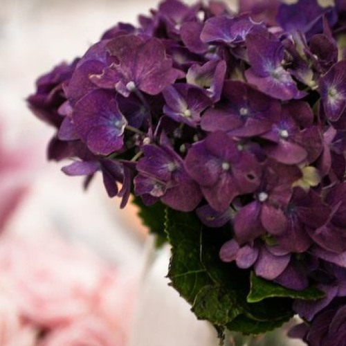 Oceans will part (hillsongs)