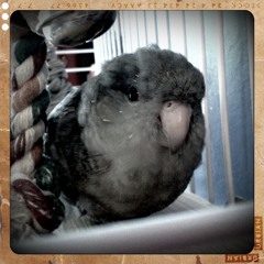 (John) I'm Only Sleeping