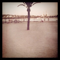 Call me maybe? cover Carly Rae Japsen/Ben Howard