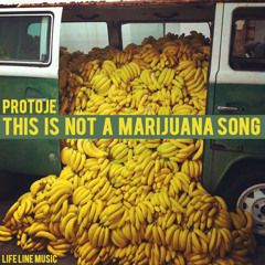 This Is Not A Marijuana Song