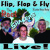 Artwork for Root Shakers - Flip, Flop & Fly
