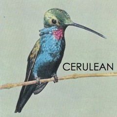 Future Wind (Single)