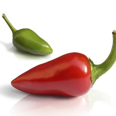 SHANTEL "Citizen of Planet PAPRIKA" RESH.G WOBBLE REMIX