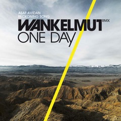 Asaf Avidan - Reckoning Song // One Day (Wankelmut Club Mix) - SNIPPET