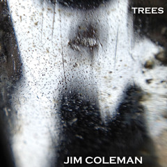 Jim Coleman: Rain