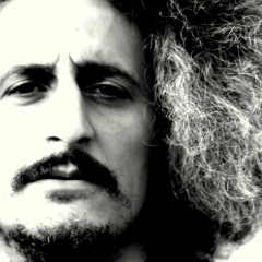 mohsen namjoo - Cennetin rengi the color of paradise