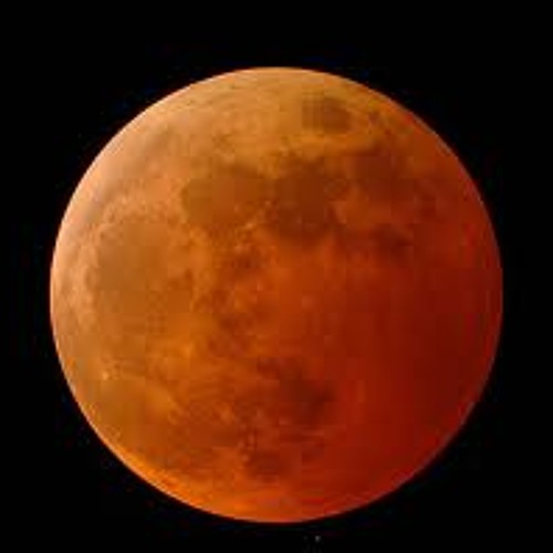 Garden Party - Adam Young