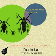 Darkside - Duck Lard (Original Mix) (clip)