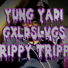 Yung Yadi - Trippy Trippy (GXLDSLVGSRMX)