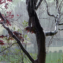 Mina La pioggia di marzo