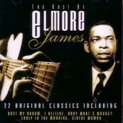 The Sky Is Crying (Elmore James)
