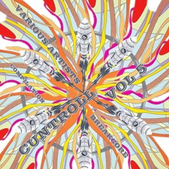 PORION - Boxhead RMIx [Foetus] - Cuntroll compilation 5 - ep out now on Robo!Robotica # 128