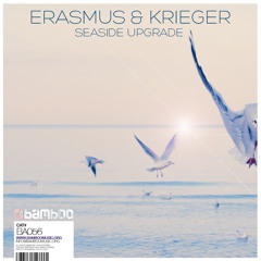 BA056 Erasmus & Krieger - Seaside Upgrade (Original Mix) Preview
