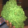 Future Ft Juicy J Im Trippin Tuss Wavy Remix Mp3