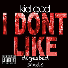 I Dont Like (Remix) featuring Digested Souls