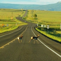 Handguns and Hard Liquor (Studio Version)