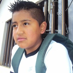 Mix  chicheras  virus-G