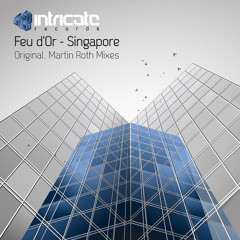 Feu d'Or - Singapore (Martin Roth Remix)