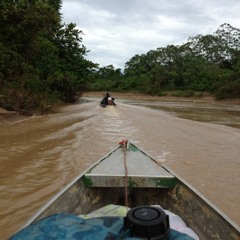 #pointsofscience Brazil. Enroute to Aldeia.