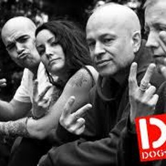 DOG SHITE WITH ACIDTEKNO MIX