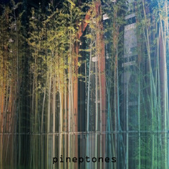 pineptones - mutual_funds