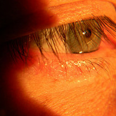 Mark Pendered - In My Mind's Eye