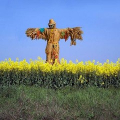 Mark Pendered - Scarecrow