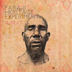Faraji Heritage Experiment - Too High