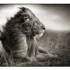 RESISTENCE -D.DREAD feat Fakrap.