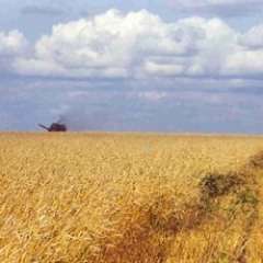 Ukrainian Agriculture Dub