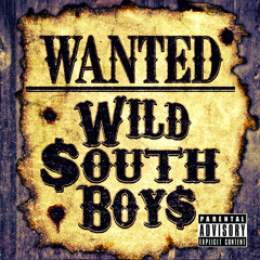 10. Wild South Boys - Strippers Are Forever