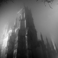 Dj Shakedown-Music To Die By;Concerto Of Death