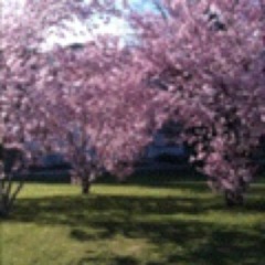 Sounds from Tuesday morning