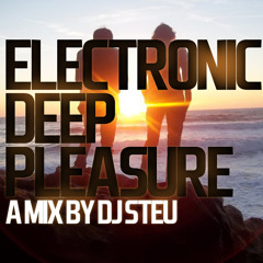Dj Steu - Electronic Deep Pleasure