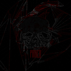 PAN1C0 - untitled6 - Producido y Ejecutado en Vivo el 10.03.2010