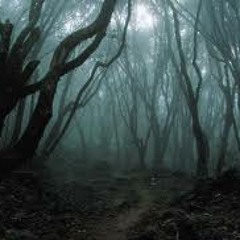 Welcome To The Lonely Forest ( Dr. E-Bit Mixtape)