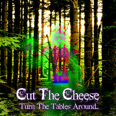 09. Cut The Cheese - The Nutty Compressor