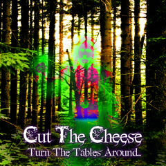 04. Cut The Cheese - Vilse