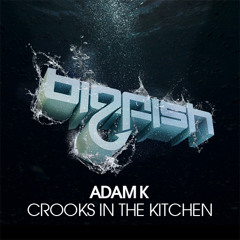 Adam K - Crooks In The Kitchen (Original Mix)