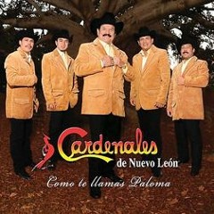 Los Cardenales De Nuevo Leon MEGA MIX 2012