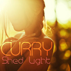 Shed Light by Curry (work in progress)