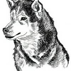 Lucid Root featuring Wizard-Vultures (Prod. by Veks)